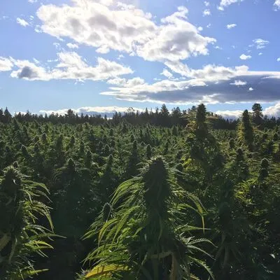 Brooker Farms, Bend, OR